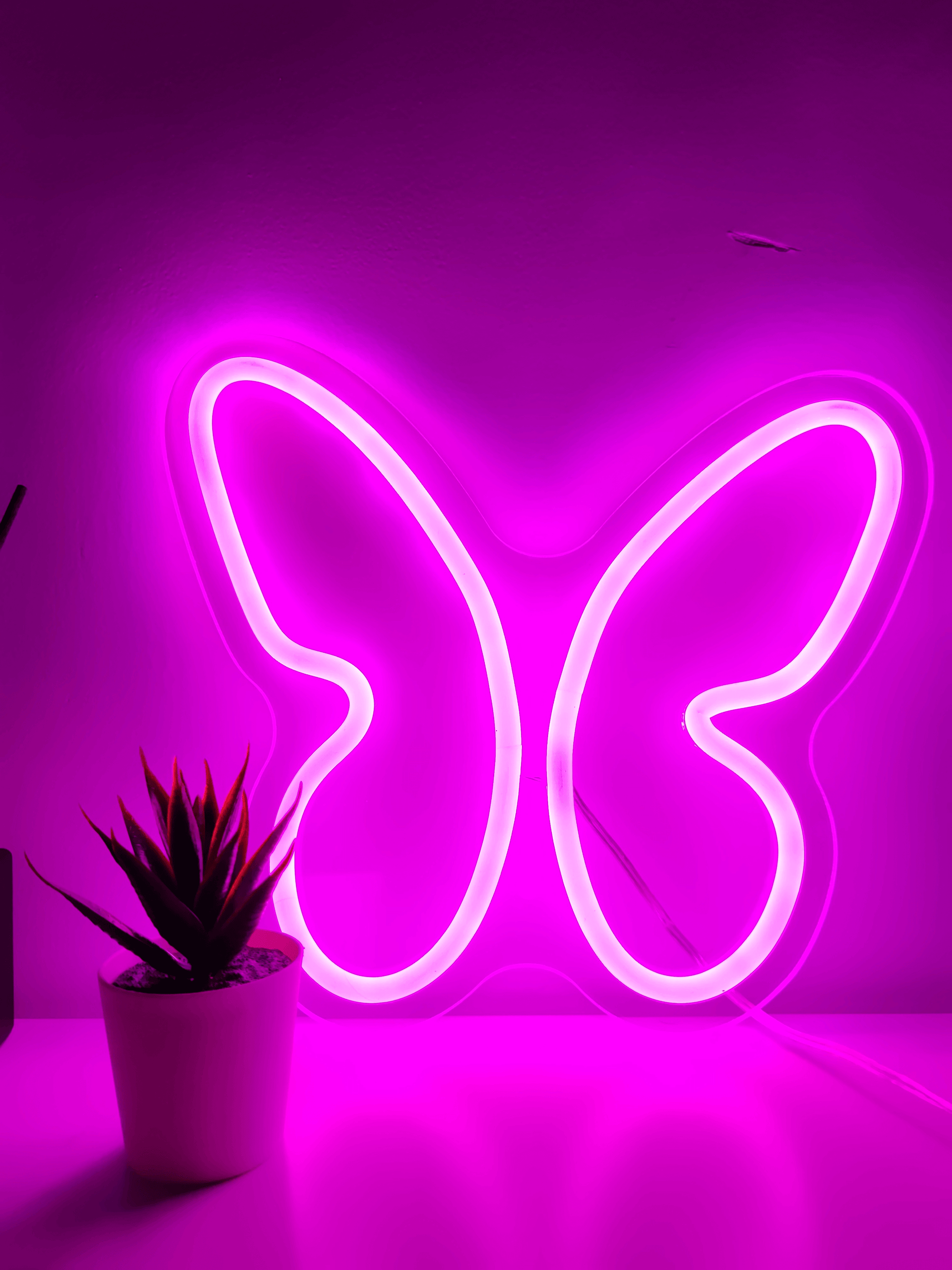 Butterfly Neon Sign - Decor Lights for Wedding, Bedroom and Parties –  Northernlightstore