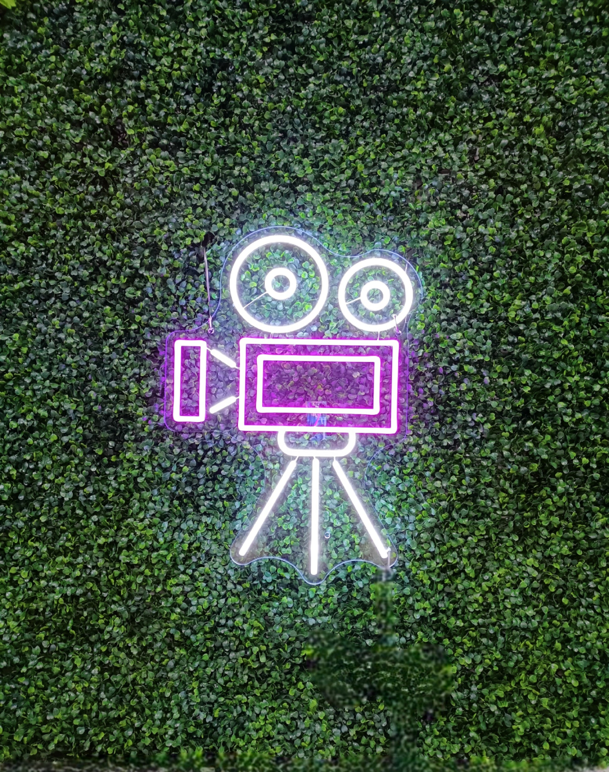 "Movie Camera" neon sign - Northernlightstore - neon lights